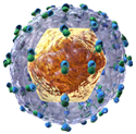 HEPATITIS C