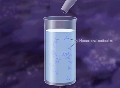 Monoclonal antibodies