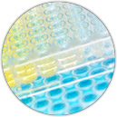 Blue Star - TMB Solution for Elisa‎