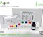 EIAgen Detect HIV Combo Kit (480 Tests)