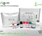 EIAgen HCV Ab (v.4) Kit (192 tests)